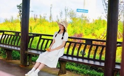 欧美女友优排行